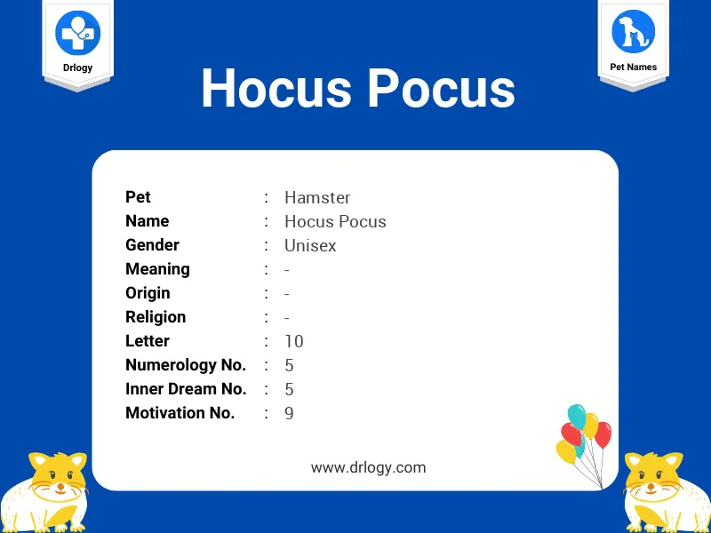 Hocus Pocus Name Meaning